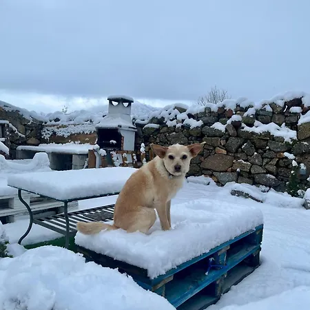 Maderavieja - Piscina & Jacuzzi Nyaraló Amavida