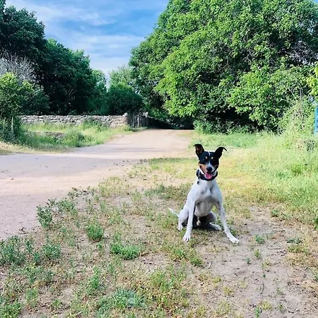 Nyaraló Maderavieja - Piscina & Jacuzzi