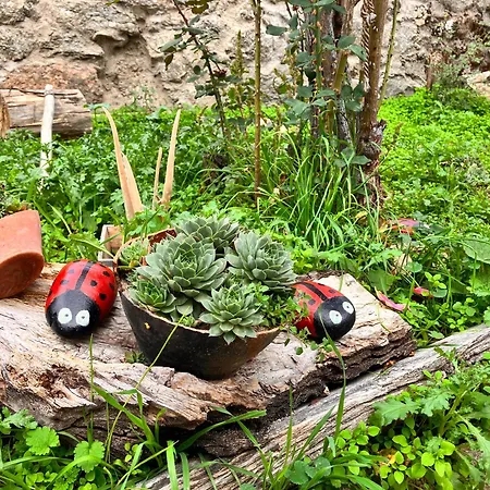 Maderavieja - Piscina & Jacuzzi