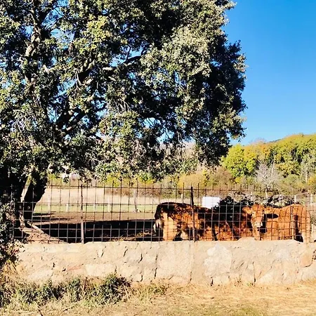 Nyaraló Maderavieja - Piscina & Jacuzzi