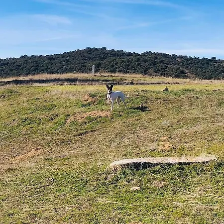 Nyaraló Maderavieja - Piscina & Jacuzzi *