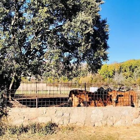 Maderavieja - Piscina & Jacuzzi