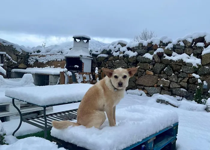 Maderavieja - Piscina & Jacuzzi Hébergement de vacances Amavida