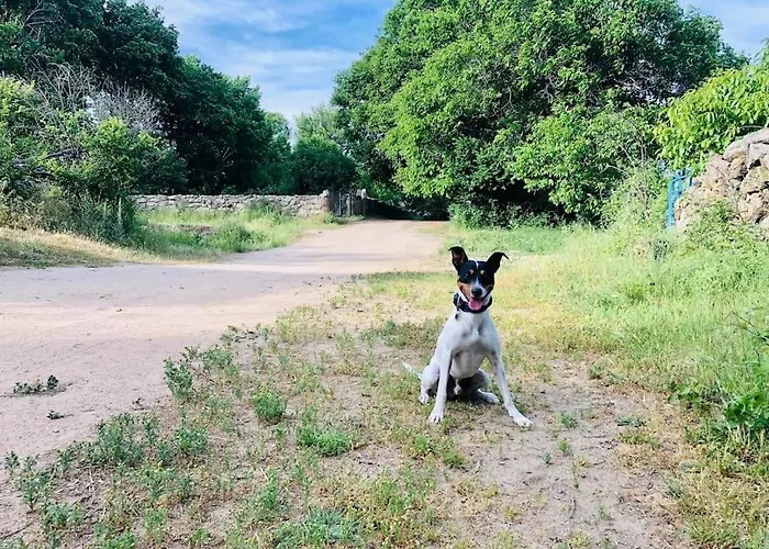 Holiday home Maderavieja - Piscina & Jacuzzi