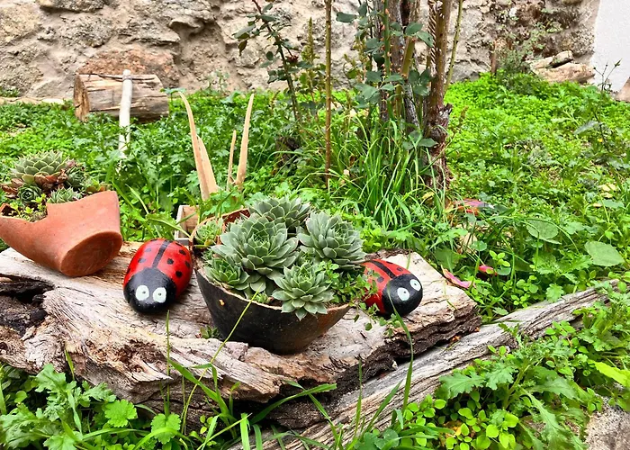 Maderavieja - Piscina & Jacuzzi