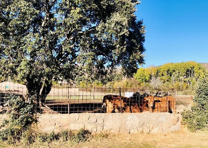 Hébergement de vacances Maderavieja - Piscina & Jacuzzi