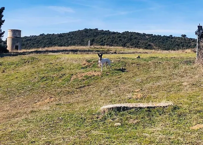 Holiday home Maderavieja - Piscina & Jacuzzi *